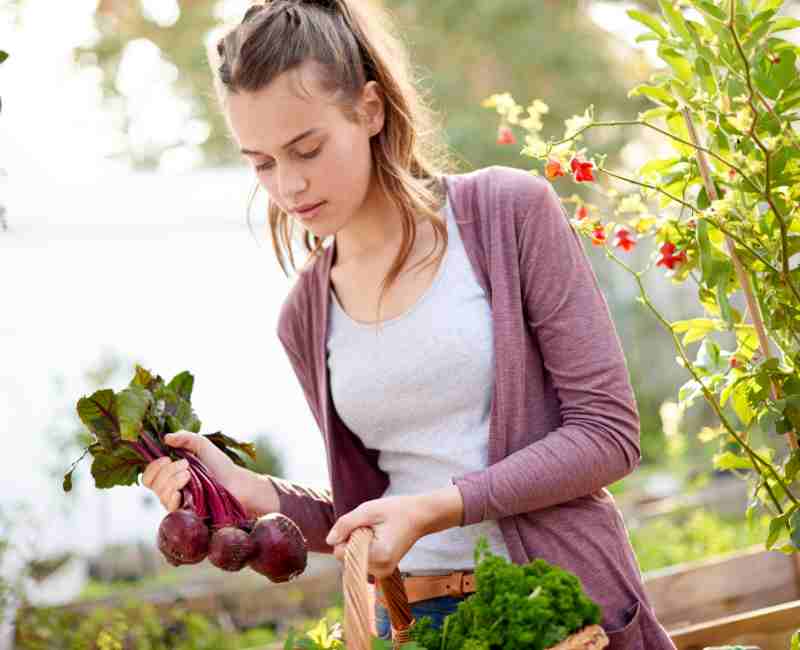 Growing Food in Your Front Yard
