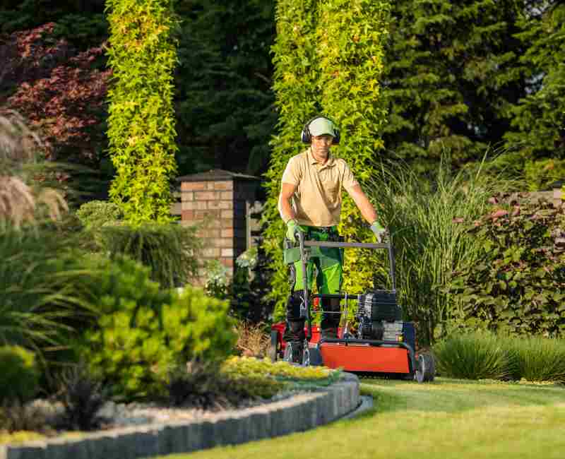 Mastering the Basics of Lawn Care and Maintenance